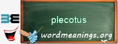 WordMeaning blackboard for plecotus